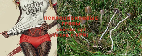 экстази Богданович