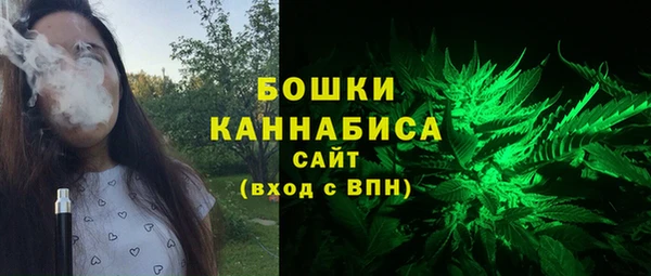 стафф Михайловск