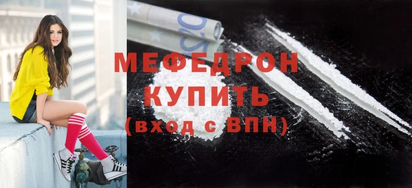 МДПВ Бородино