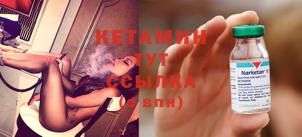 шишки Ачинск