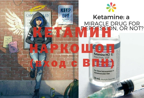 шишки Ачинск