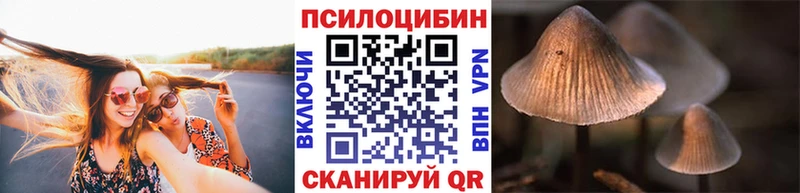 купить   Вилючинск  KRAKEN как войти  Псилоцибиновые грибы Cubensis 